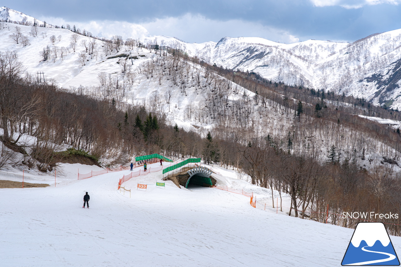 キロロリゾート｜寒波到来で、雪解けはひと休み。滑走距離2,000ｍ級のロングコースを楽しみましょう(^_-)-☆